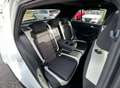 Volkswagen T-Roc Sport 2.0 TDI 4Motion DSG Tetto panoramico Blanc - thumbnail 14