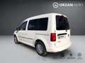 Volkswagen Caddy Caddy 2.0 TDI 102 CV COMF. N1 5 POSTI AUTOCARRO Bianco - thumbnail 5