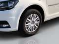 Volkswagen Caddy Caddy 2.0 TDI 102 CV COMF. N1 5 POSTI AUTOCARRO Bianco - thumbnail 4