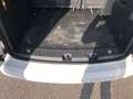 Volkswagen Caddy Caddy 2.0 TDI 102 CV COMF. N1 5 POSTI AUTOCARRO Bianco - thumbnail 15