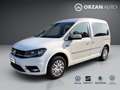 Volkswagen Caddy Caddy 2.0 TDI 102 CV COMF. N1 5 POSTI AUTOCARRO Bianco - thumbnail 2