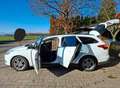Ford Focus Focus Focus Turnier 1.6 TDCi DPF Champions Edition Weiß - thumbnail 2