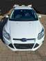 Ford Focus Focus Focus Turnier 1.6 TDCi DPF Champions Edition Weiß - thumbnail 5