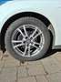 Ford Focus Focus Focus Turnier 1.6 TDCi DPF Champions Edition Weiß - thumbnail 15