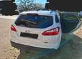 Ford Focus Focus Focus Turnier 1.6 TDCi DPF Champions Edition Weiß - thumbnail 3