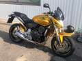 Honda Hornet PC41 Gold - thumbnail 3