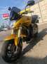 Honda Hornet PC41 Gold - thumbnail 1