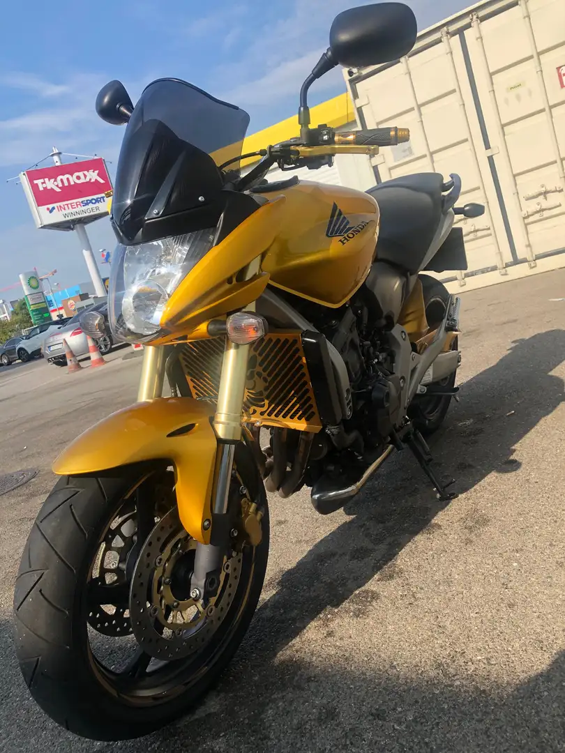 Honda Hornet PC41 Gold - 1