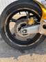 Honda Hornet PC41 Gold - thumbnail 6
