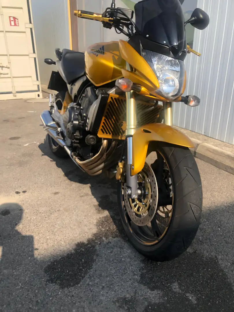 Honda Hornet PC41 Gold - 2