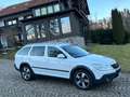 Skoda Octavia Combi Scout 4X4, 2.0TDI 140PS,6Gang Weiß - thumbnail 11