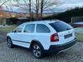 Skoda Octavia Combi Scout 4X4, 2.0TDI 140PS,6Gang Weiß - thumbnail 5