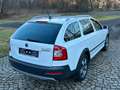 Skoda Octavia Combi Scout 4X4, 2.0TDI 140PS,6Gang Weiß - thumbnail 8