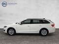 Skoda Octavia Selection TDI DSG Weiß - thumbnail 3