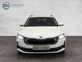 Skoda Octavia Selection TDI DSG Weiß - thumbnail 2