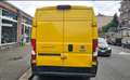 Fiat Ducato Ducato 33 2.2 Mjt 120CV PM-TM Furgone Gelb - thumbnail 4