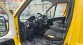 Fiat Ducato Ducato 33 2.2 Mjt 120CV PM-TM Furgone Gelb - thumbnail 6