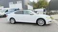 Skoda Superb Sportline*2.0 TDI DSG*LED*GARANTIE Weiß - thumbnail 7