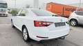 Skoda Superb Sportline*2.0 TDI DSG*LED*GARANTIE Weiß - thumbnail 4