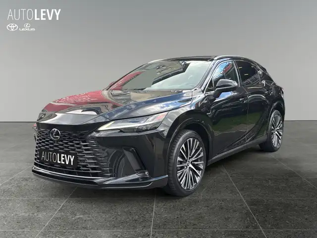 Lexus RX view 2