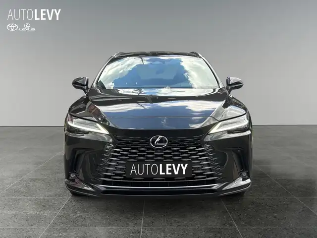 Lexus RX view 9