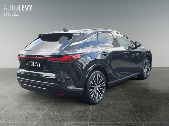 Lexus RX view 6