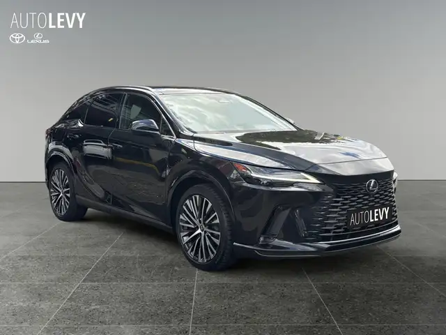 Lexus RX view 8