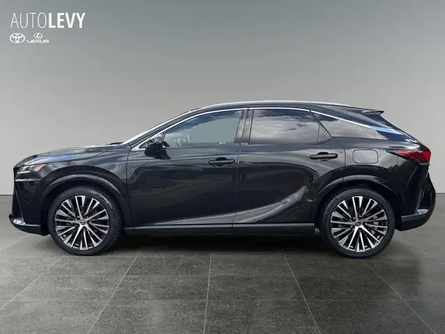 Lexus RX view 3