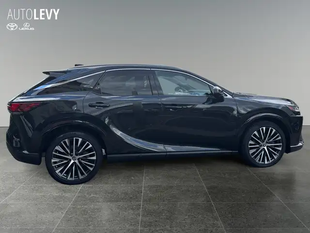 Lexus RX view 7