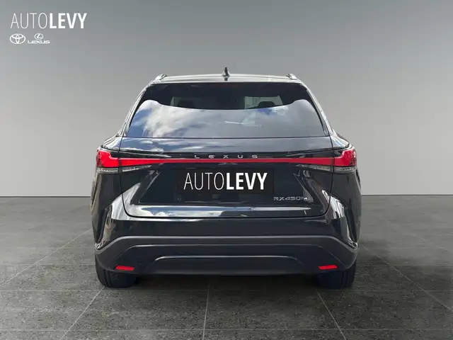 Lexus RX view 5