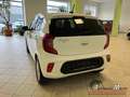 Kia Picanto Dream Team 1.0 +ALU+SHZ+Lenkradheizung+Klima+ Weiß - thumbnail 17