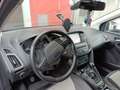 Ford Focus SW 1.6 tdci Titanium 115cv - thumbnail 3