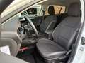 Ford Focus Wagon 1.0 EcoB. Tr Ed. bns TREKHAAK / CARPLAY / AN Weiß - thumbnail 4