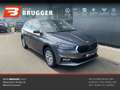 Skoda Fabia 1.0 MPI Selection LED KAMERA SHzg. CarPlay Grau - thumbnail 1
