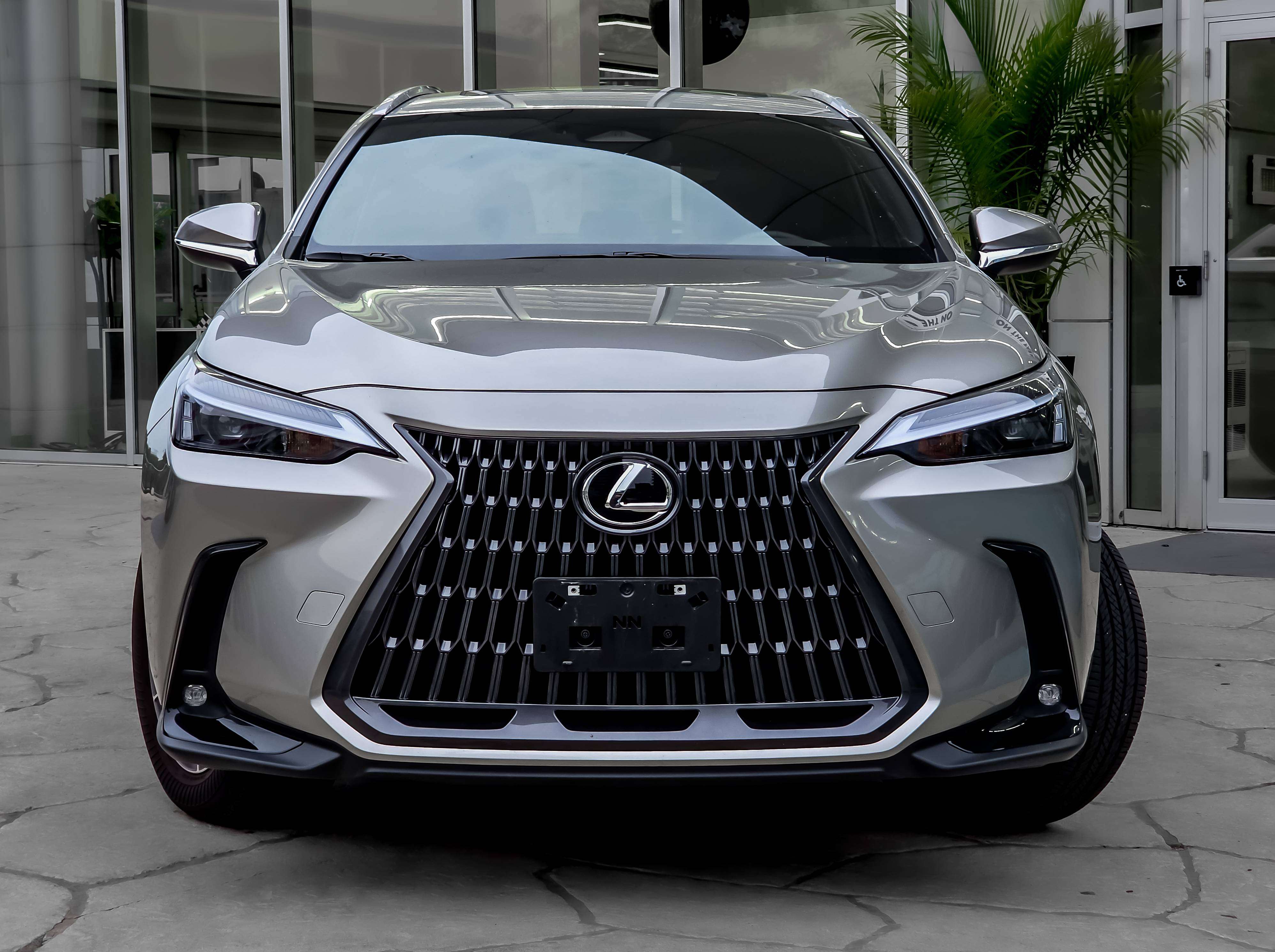 2025 Lexus NX