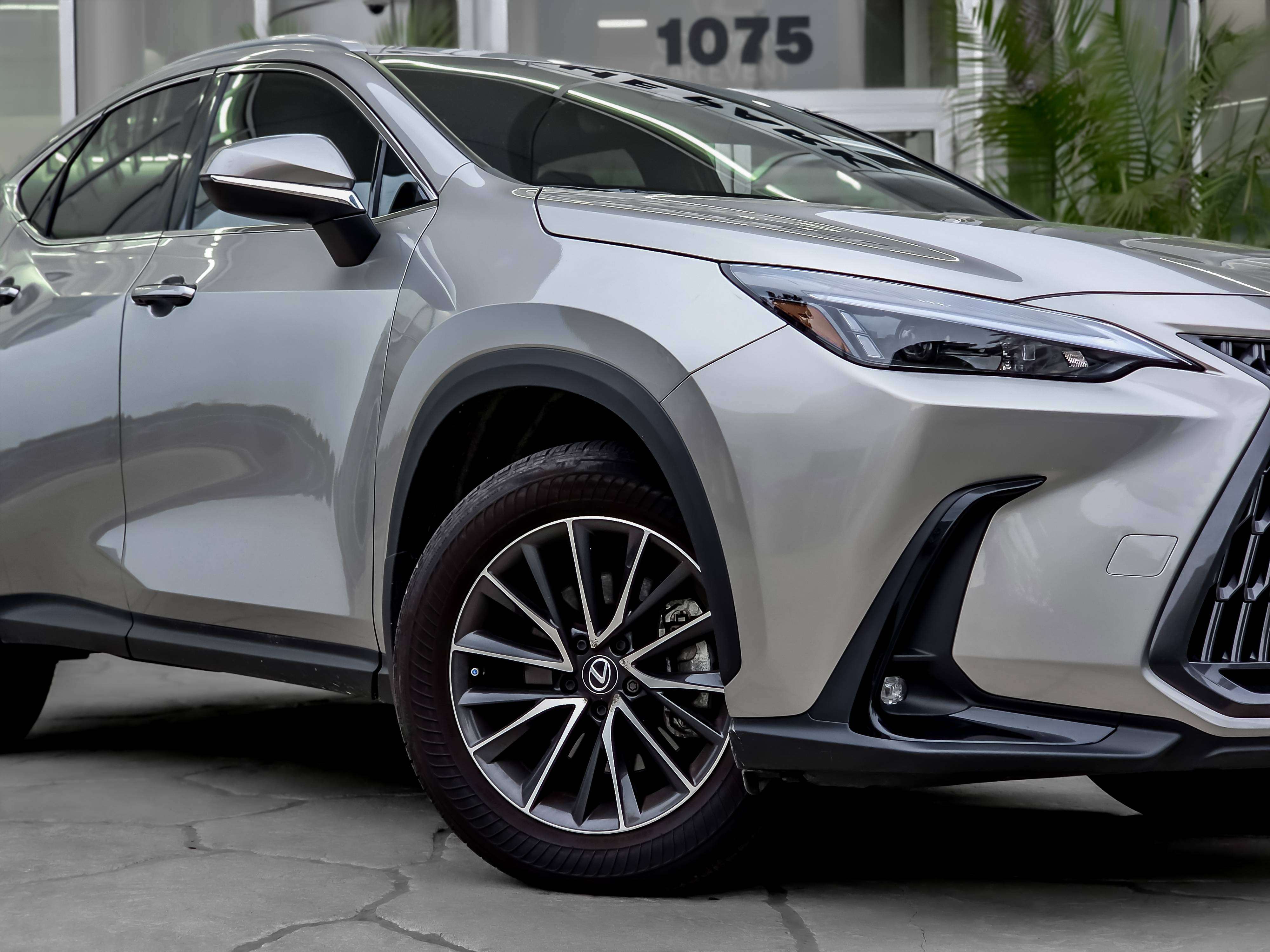 2025 Lexus NX