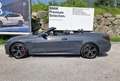 BMW 420 d Cabrio Gris - thumbnail 4