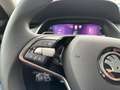 Skoda Octavia Combi 1.5 TSI mHEV Selection_Pan_AHK_Teilleder Schwarz - thumbnail 19