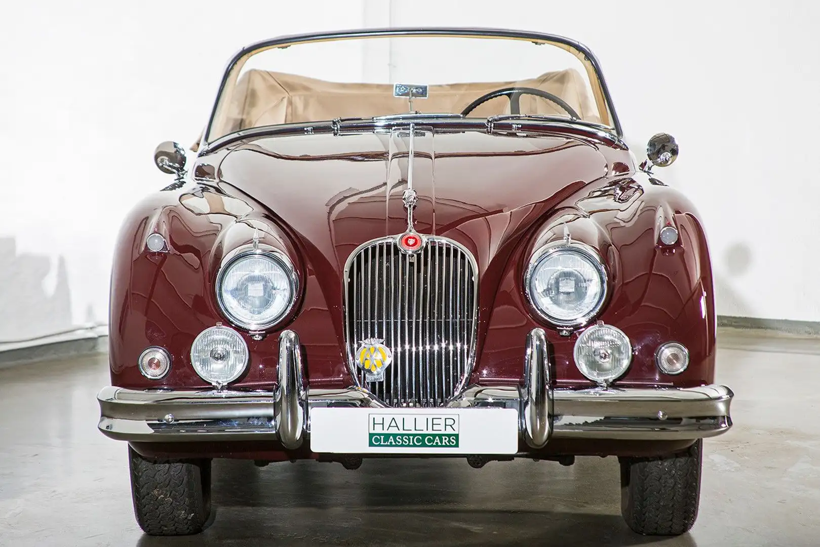 Jaguar XK 150 DHC, Frame Off Restauration, NL Auslief. Rojo - 2