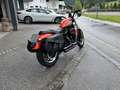 Harley-Davidson Sportster XL 883 XL883 Roadster A2-Zulassung Portocaliu - thumbnail 5