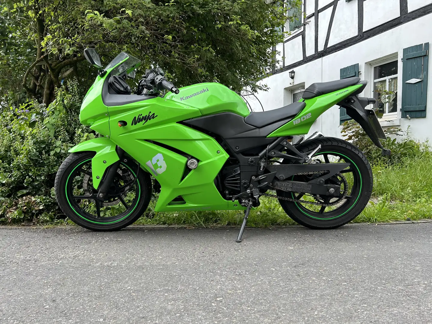 Kawasaki Ninja 250 R Зелений - 1