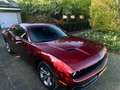 Dodge Challenger 2020 SINGLE OWNER - thumbnail 4