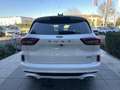 Ford Kuga Kuga 2.5 Full Hybrid 180 CV CVT 2WD ST-Line *PROM Bianco - thumbnail 5