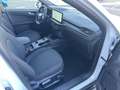Ford Kuga Kuga 2.5 Full Hybrid 180 CV CVT 2WD ST-Line *PROM Wit - thumbnail 19