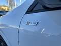 Ford Kuga Kuga 2.5 Full Hybrid 180 CV CVT 2WD ST-Line *PROM Wit - thumbnail 17