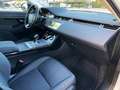 Land Rover Range Rover Evoque 2.0D MHEV Standard AWD Aut. 150 Blanco - thumbnail 29