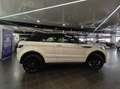 Land Rover Range Rover Evoque 2.0L TD4 132kW 4x4 HSE Dynamic Auto Conv Weiß - thumbnail 12