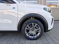 Citroen C3 ë 113 YOU *HUD*PDC*LED*Klima*11 KW OBC Weiß - thumbnail 15