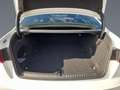 Audi A6 Limousine 40 TDI 2x S line HD-MATRIX Sport Blanco - thumbnail 22