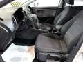 SEAT Leon 1.5 TGI DSG ST Business Bianco - thumbnail 8